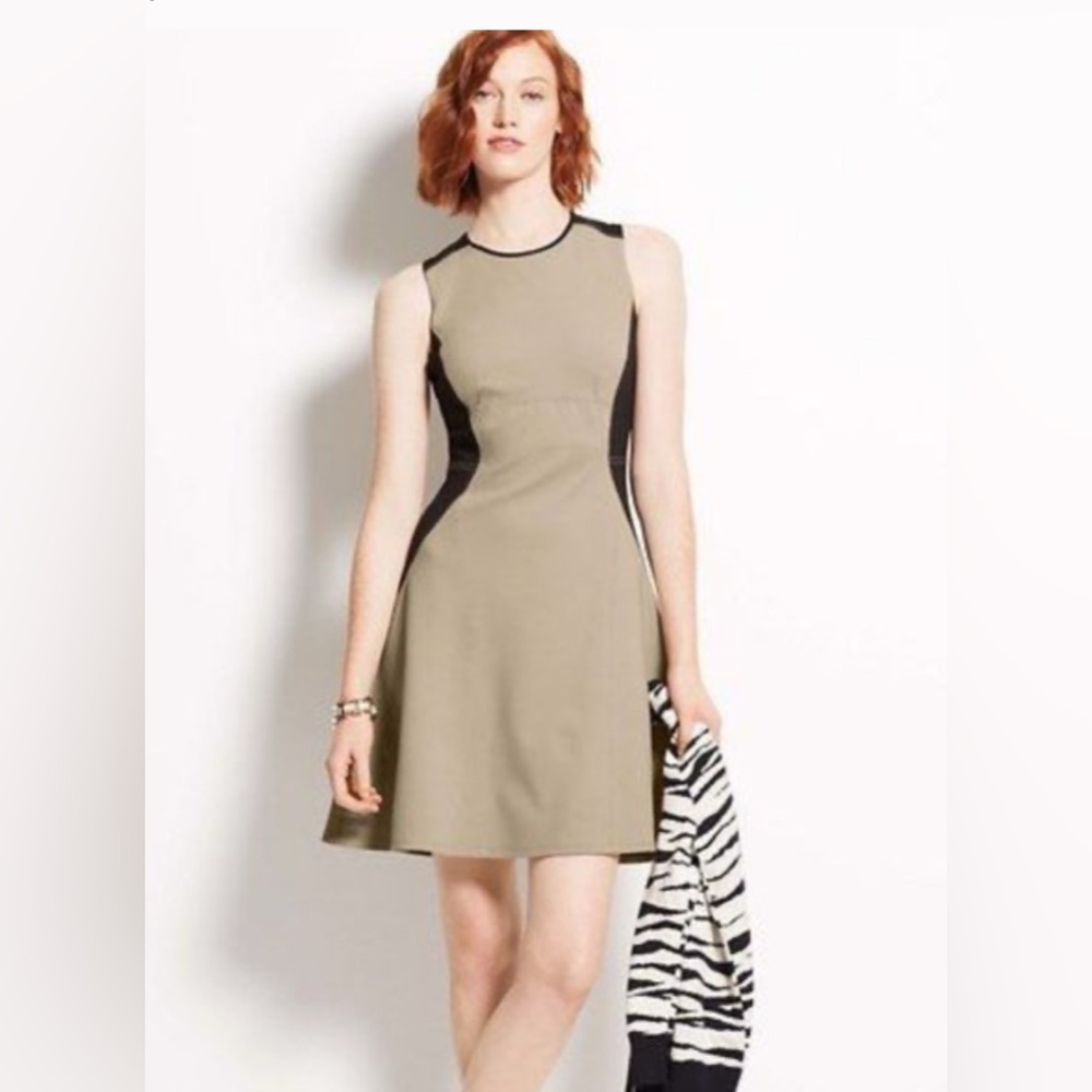 Ann Taylor Beige and Black Fit and Flare Dress